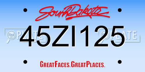 45ZI125 South Dakota License Plate