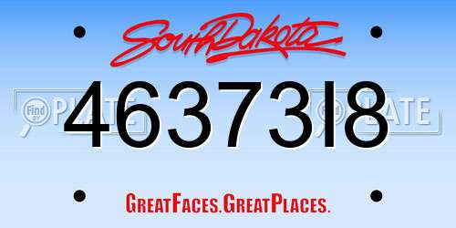 46373I8 South Dakota License Plate