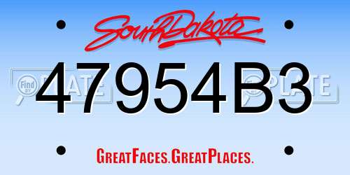 47954B3 South Dakota License Plate