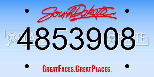 4853908 South Dakota License Plate