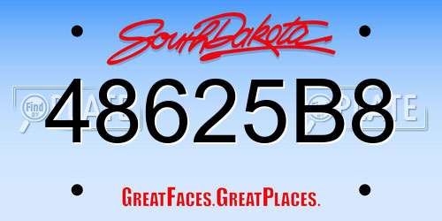 48625B8 South Dakota License Plate