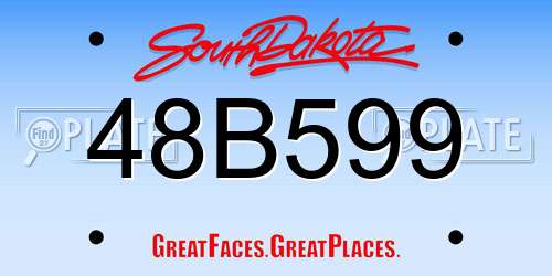 48B599 South Dakota License Plate