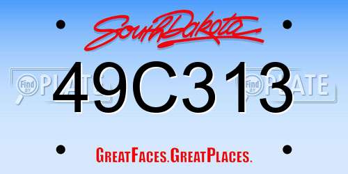 49C313 South Dakota License Plate