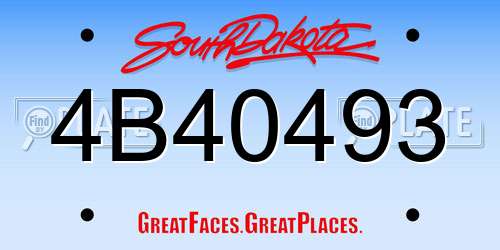 4B40493 South Dakota License Plate