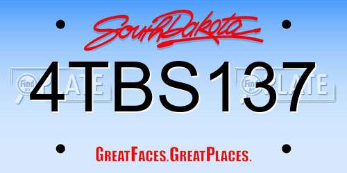 4TBS137 South Dakota License Plate