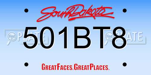 501BT8 South Dakota License Plate