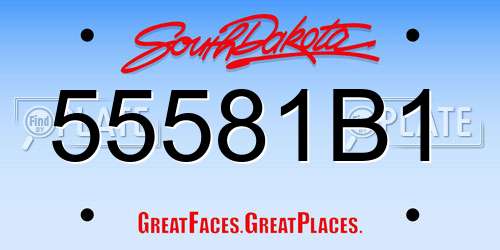 55581B1 South Dakota License Plate