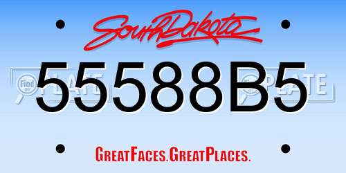 55588B5 South Dakota License Plate