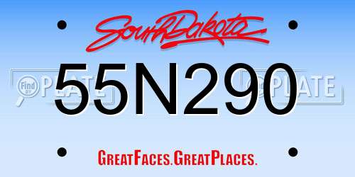 55N290 South Dakota License Plate