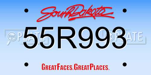 55R993 South Dakota License Plate