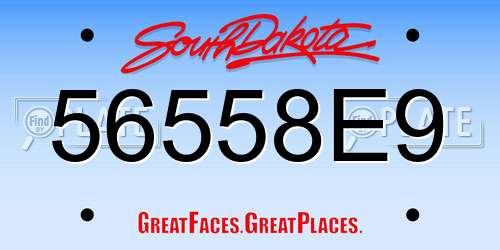 56558E9 South Dakota License Plate