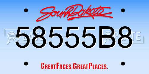 58555B8 South Dakota License Plate