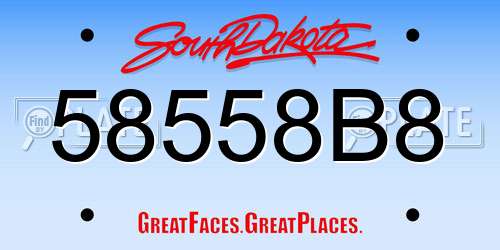 58558B8 South Dakota License Plate