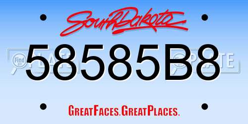 58585B8 South Dakota License Plate