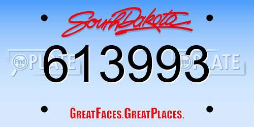 613993 South Dakota License Plate