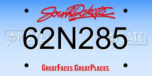 62N285 South Dakota License Plate