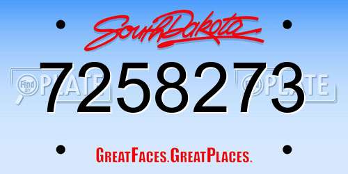 7258273 South Dakota License Plate
