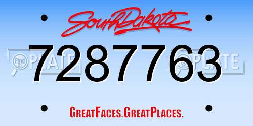 7287763 South Dakota License Plate