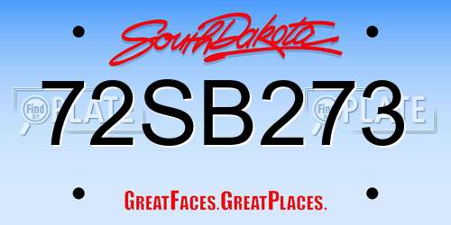 72SB273 South Dakota License Plate