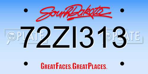 72ZI313 South Dakota License Plate