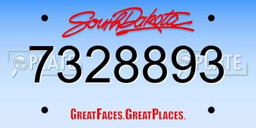 7328893 South Dakota License Plate