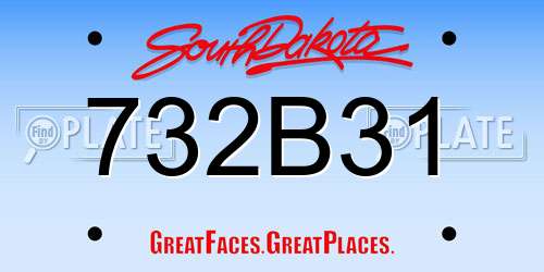 732B31 South Dakota License Plate
