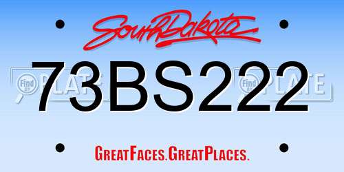73BS222 South Dakota License Plate