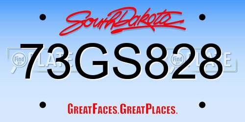 73GS828 South Dakota License Plate