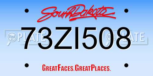 73ZI508 South Dakota License Plate
