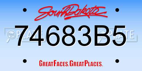 74683B5 South Dakota License Plate
