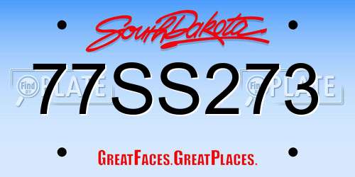 77SS273 South Dakota License Plate