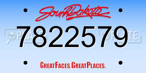 7822579 South Dakota License Plate