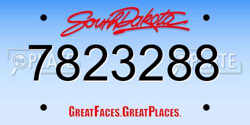 7823288 South Dakota License Plate