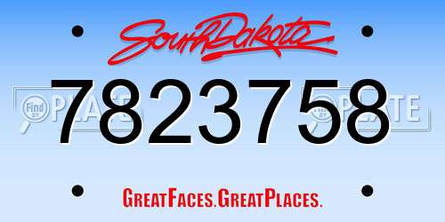 7823758 South Dakota License Plate