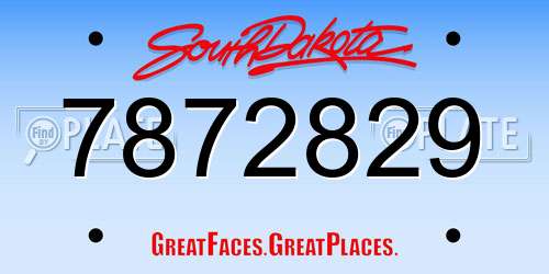 7872829 South Dakota License Plate