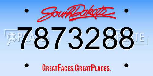 7873288 South Dakota License Plate