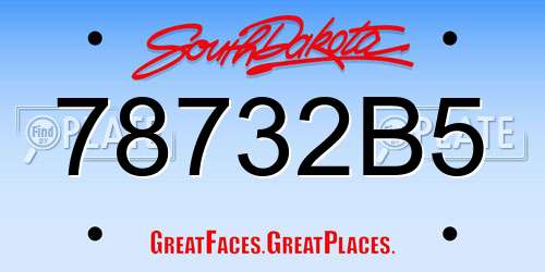 78732B5 South Dakota License Plate