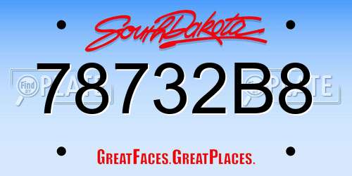 78732B8 South Dakota License Plate
