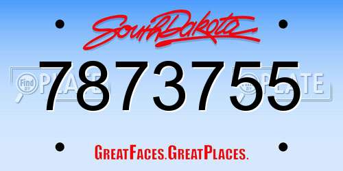 7873755 South Dakota License Plate
