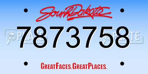 7873758 South Dakota License Plate
