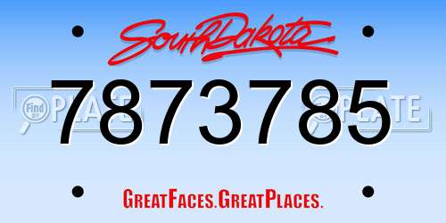 7873785 South Dakota License Plate