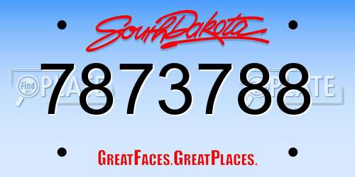 7873788 South Dakota License Plate