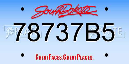 78737B5 South Dakota License Plate