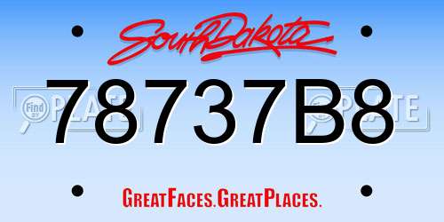 78737B8 South Dakota License Plate