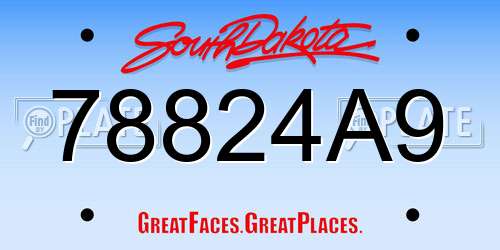 78824A9 South Dakota License Plate