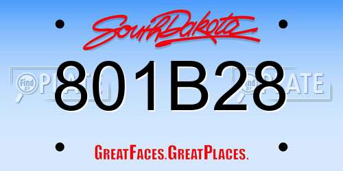 801B28 South Dakota License Plate