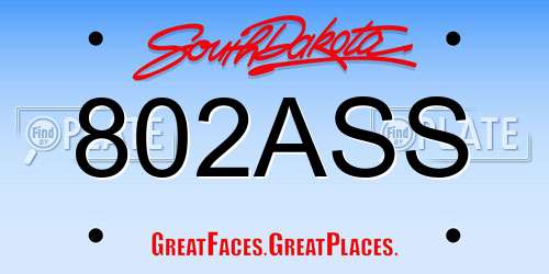 802ASS South Dakota License Plate