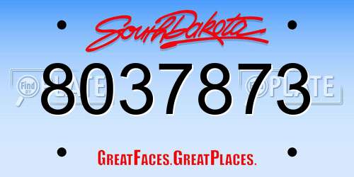 8037873 South Dakota License Plate