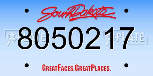 8050217 South Dakota License Plate