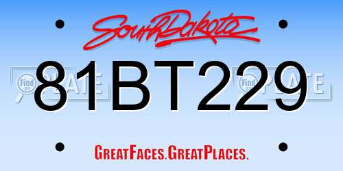 81BT229 South Dakota License Plate